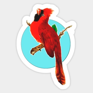 Red Bird Sticker